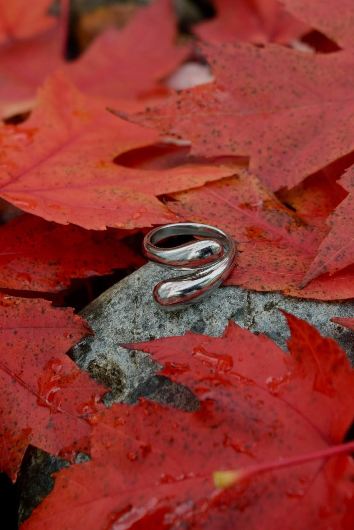Kyoto Silver Ring