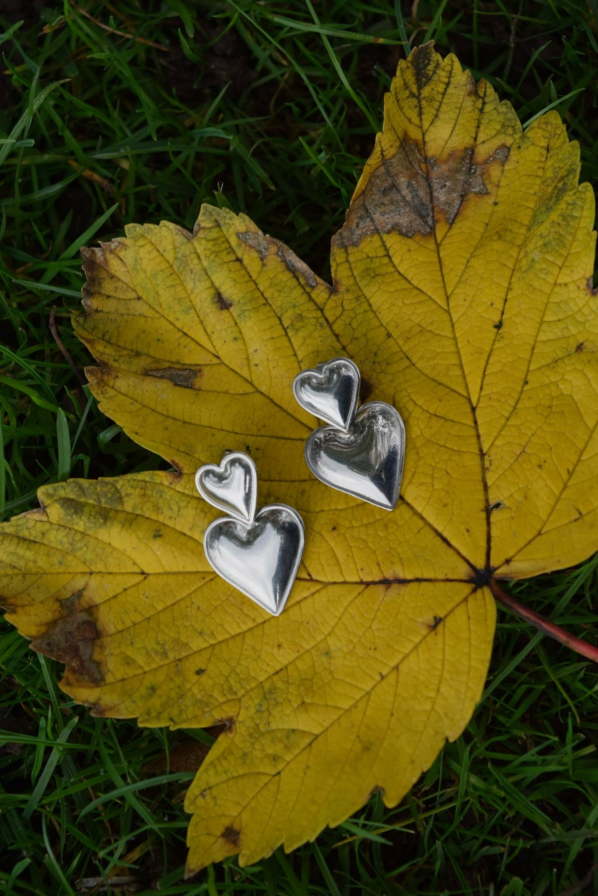 Paris Earrings Silver