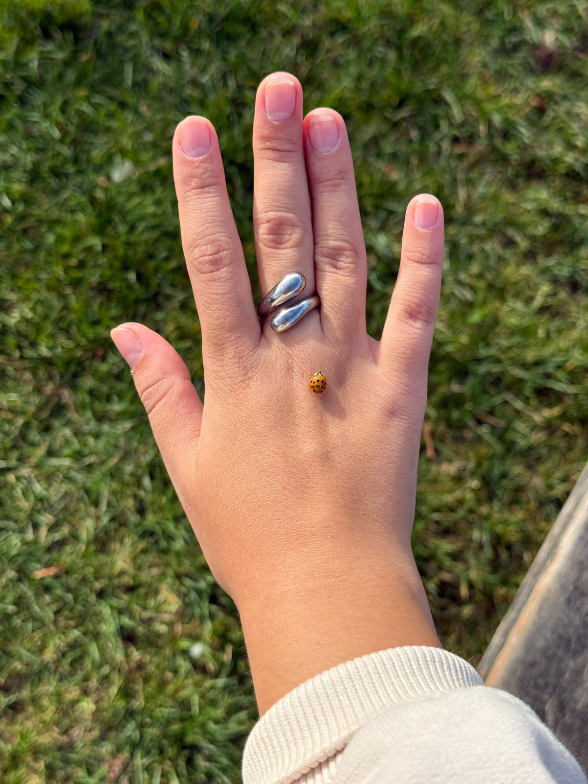 Kyoto Silver Ring