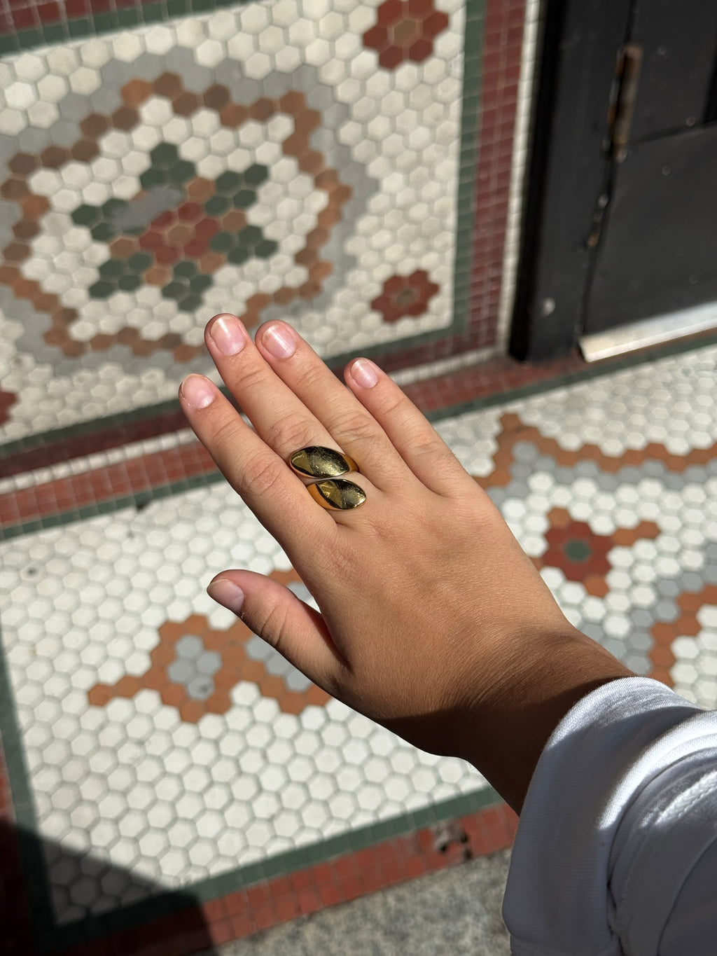 Oslo Ring